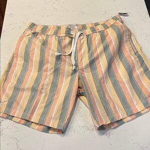 Free Planet Multicolor Striped Men's Shorts